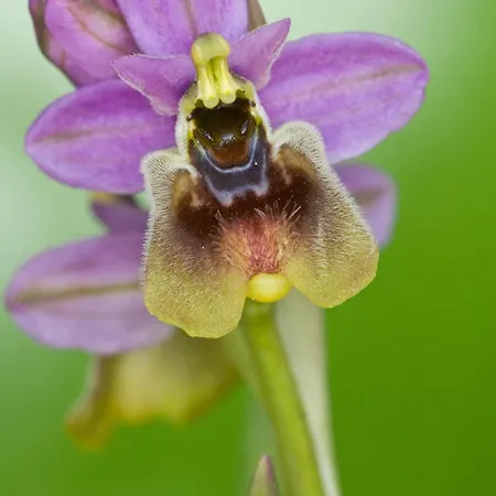 Le Di Chri Apartamento
