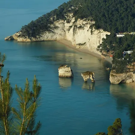 Le Di Chri Mattinata