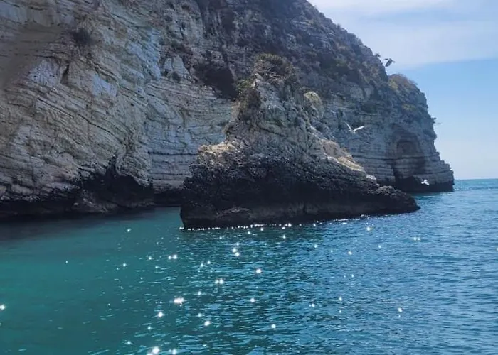 Le Di Chri 马蒂纳塔